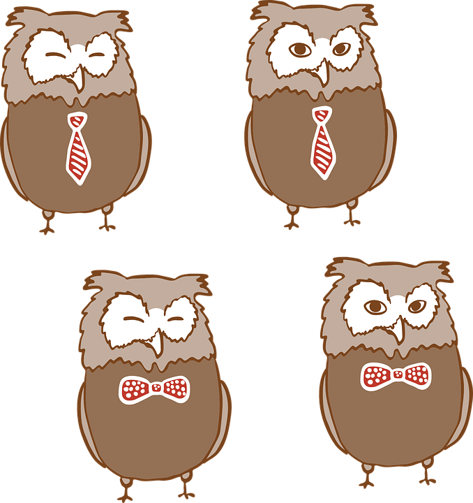 Baby Owl Clipart 25, Buy Clip Art - Love About You: Valentine's Day Journal / Composition - Free Transparent PNG Clipart Images Download. - Transparent PNG Free Download