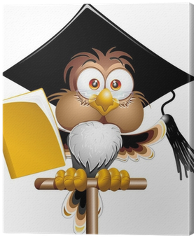 Gufo Professore Cartoon Owl Teacher Cartoon Vector - Teacher Cartoon - Free Transparent PNG Clipart Images Download. - Owl Transparent PNG Free Download
