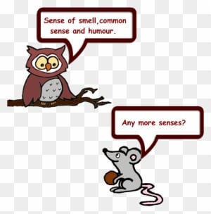 Owl And Mouse Easter 5 - Christmas Day - Free Transparent PNG Clipart Images Download. - Owl Transparent PNG Free Download