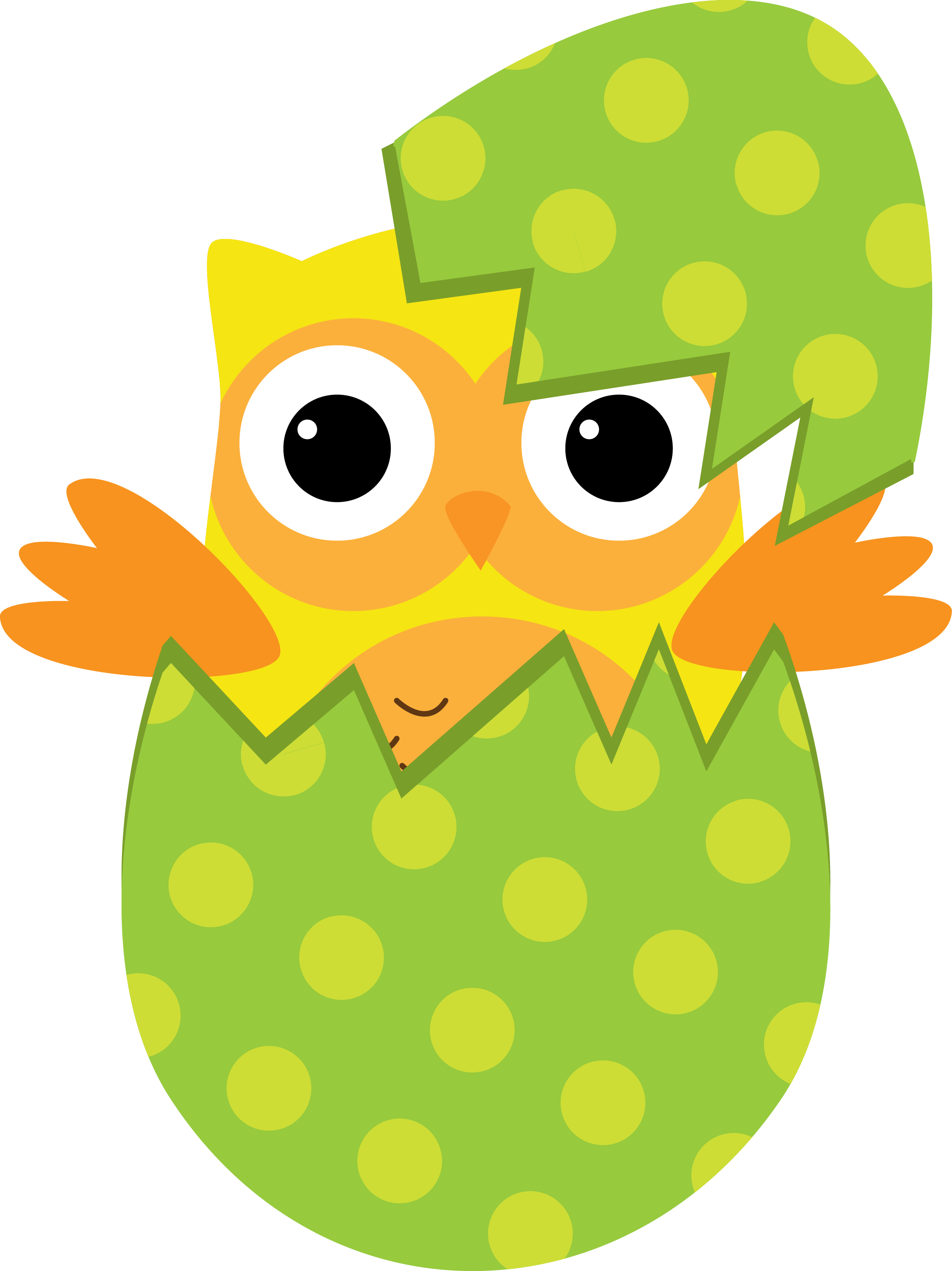 Photo By Daniellemoraesfalcao Minus - Hibou Paques - Free Transparent PNG Clipart Images Download. - Owl Transparent PNG Free Download