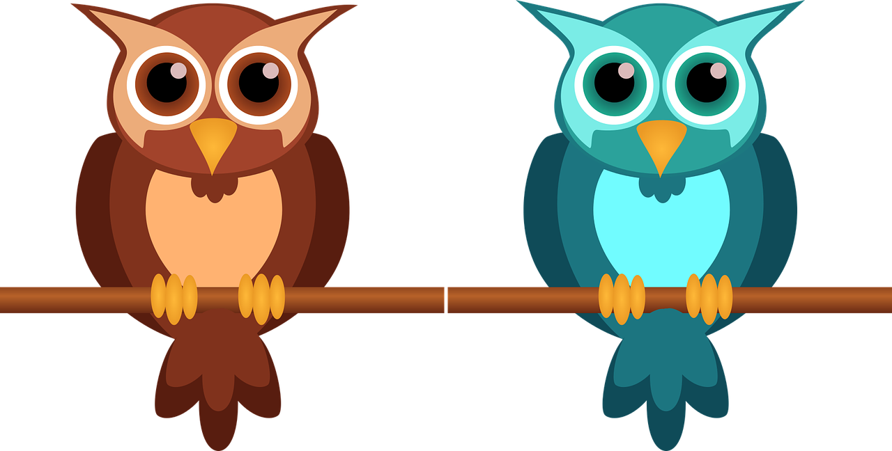 Owl Cute Nocturnal - Cartoon Pictures For Kids - Free Transparent PNG Clipart Images Download. - Owl Transparent PNG Free Download