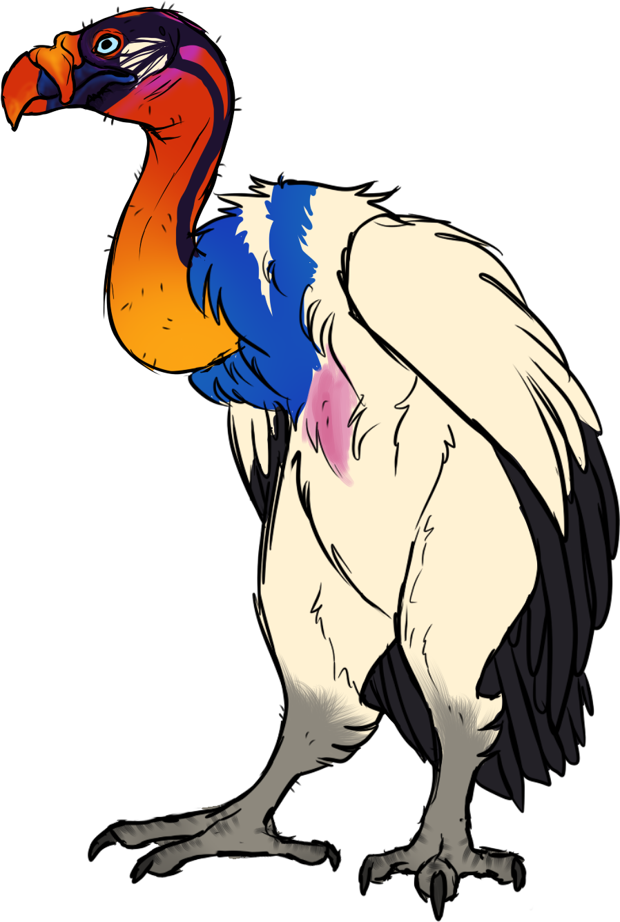 King Vulture By Mute-owl - King Vulture Clipart - Free Transparent PNG Clipart Images Download. - Owl Transparent PNG Free Download