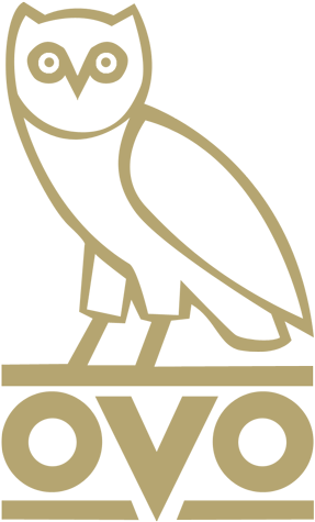 Ovo Logos Bing Images - Drake Ovo Owl Transparent PNG - 304x500 - Free Download on - Owl Transparent PNG Free Download