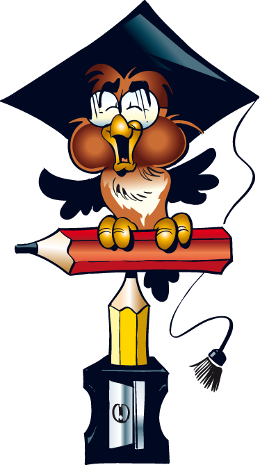 Owl - Verb Like Infinitive Worksheet Transparent PNG - 374x669 - Free Download on - Owl Transparent PNG Free Download