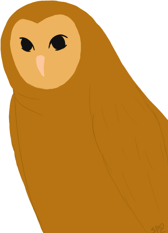 Ovo Owl Png - Portable Network Graphics Transparent PNG - 768x1024 - Free Download on - Owl Transparent PNG Free Download