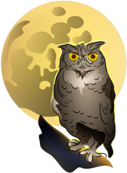 Owl And Full Moon Transparent PNG - 674x518 - Free Download on - Owl Transparent PNG Free Download