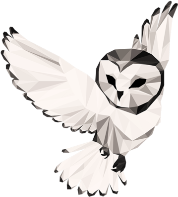 Night Owl Collective - Barn Owl, HD Png Download - Owl Transparent PNG Free Download