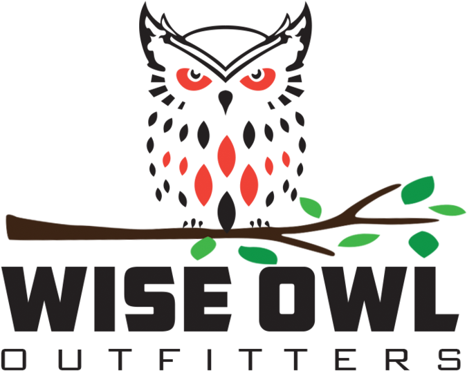 Transparent Owls Png - Wise Owl Outfitters, Png Download - Owl Transparent PNG Free Download