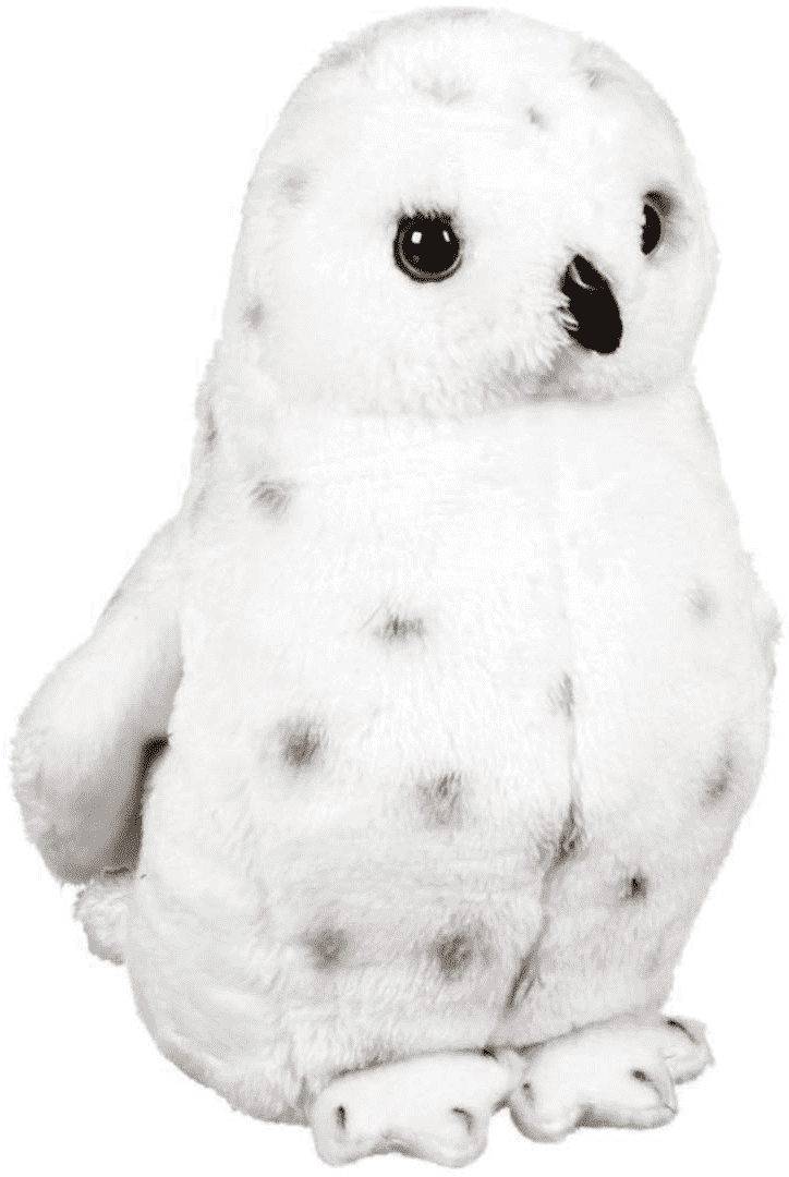 Snowy Owl, HD Png Download - Owl Transparent PNG Free Download