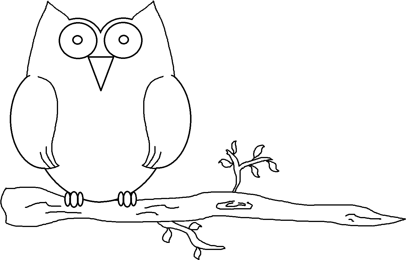Transparent Owl - Illustration, HD Png Download - Owl Transparent PNG Free Download