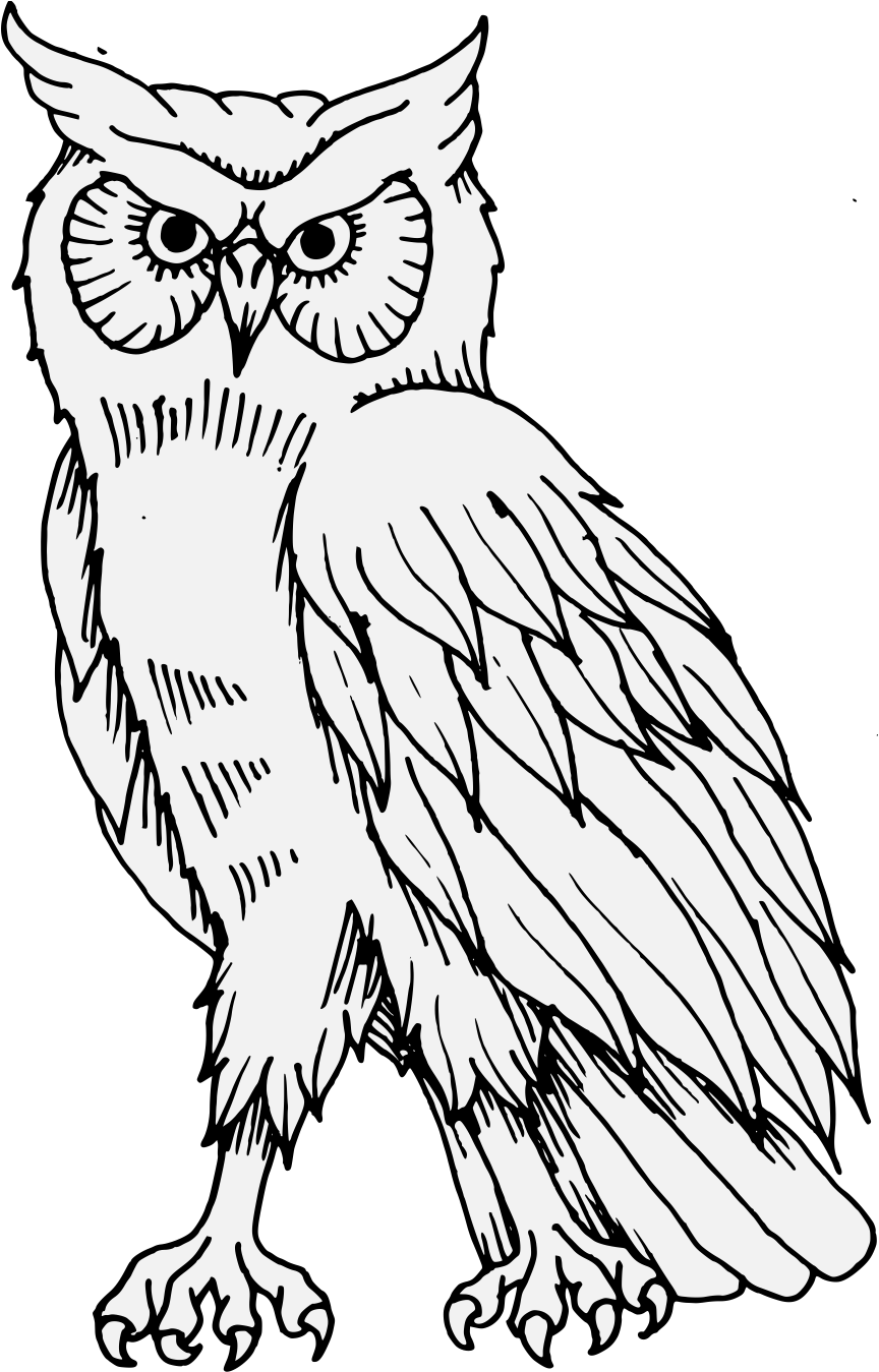 Transparent Png Owl, Png Download - Owl Transparent PNG Free Download