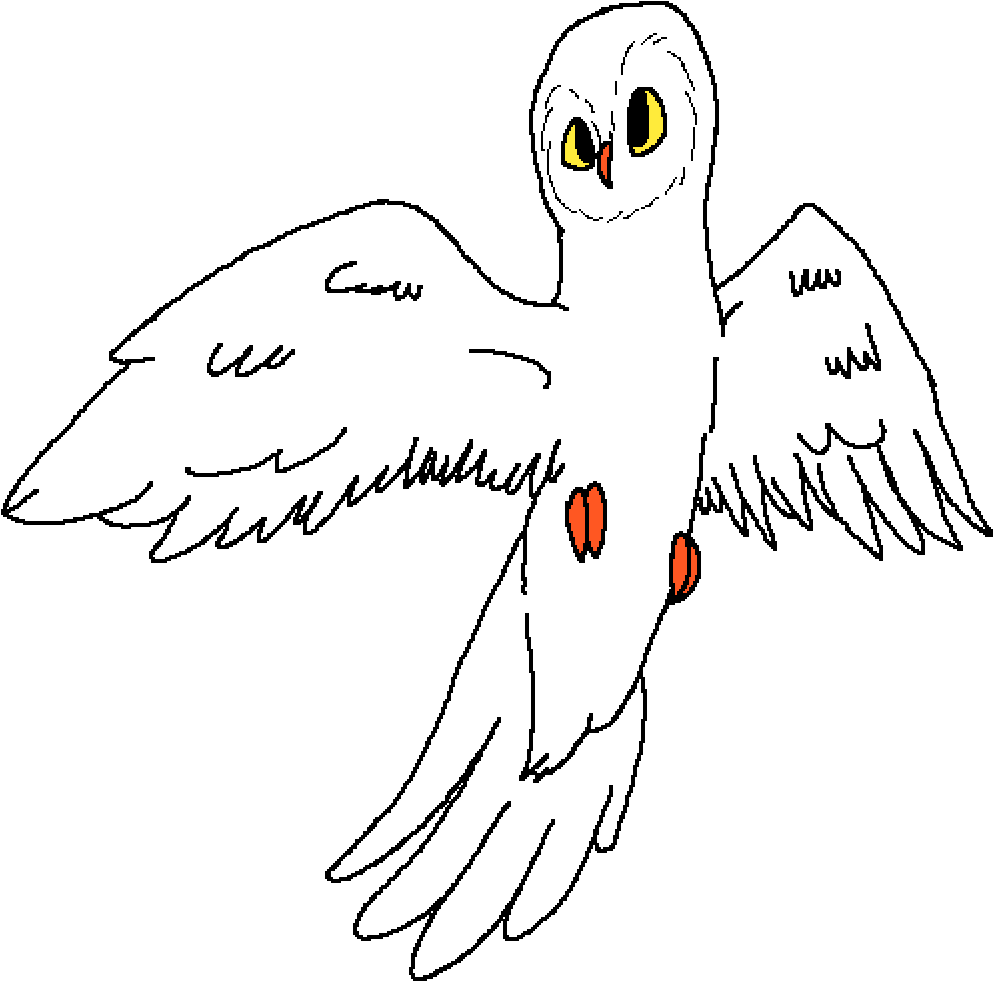 Transparent Snow Owl Png - Eagle, Png Download - Owl Transparent PNG Free Download