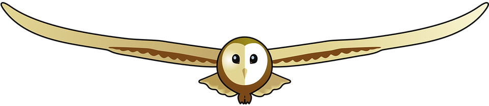 Barn Owl, Children, Wildlife - Cartoon, HD Png Download - Owl Transparent PNG Free Download
