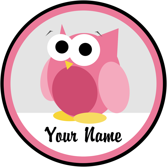 Funny Cute Pink Owl Magnet Clipart , Png Download - Conservation Of Surface As Groundwater, Transparent - Owl Transparent PNG Free Download