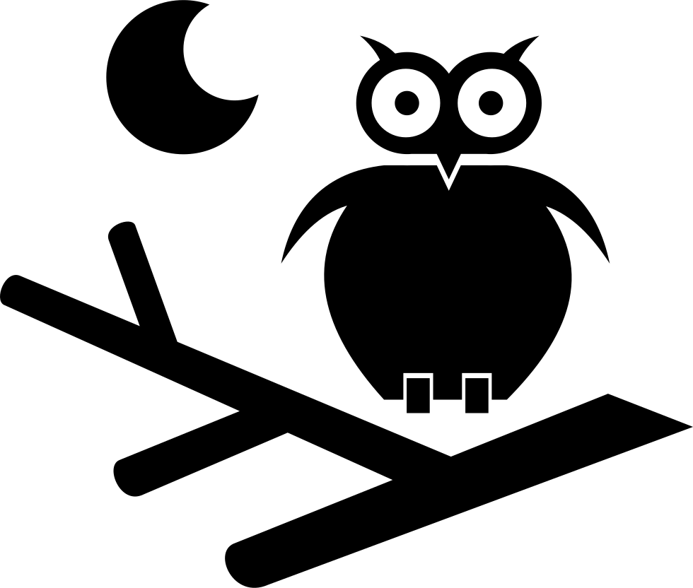 Owl At Night - Eule Mond Clipart Schwarz Weiß, HD Png Download - Owl Transparent PNG Free Download