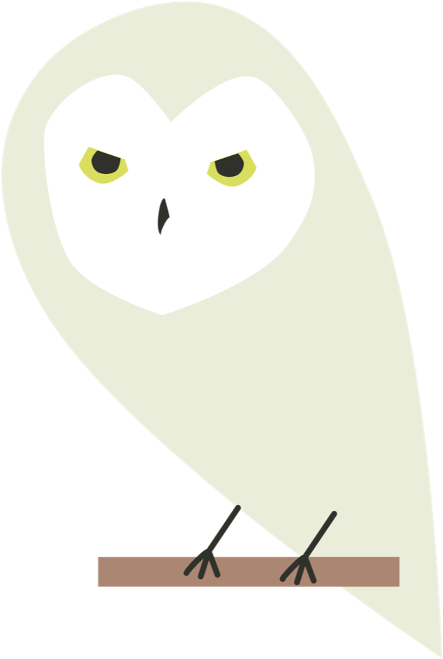 Nick Comben Gryffindor - Snowy Owl, HD Png Download - Owl Transparent PNG Free Download