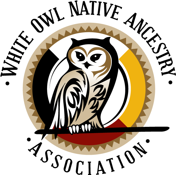 White Owl Native Ancestry Association, HD Png Download - Owl Transparent PNG Free Download