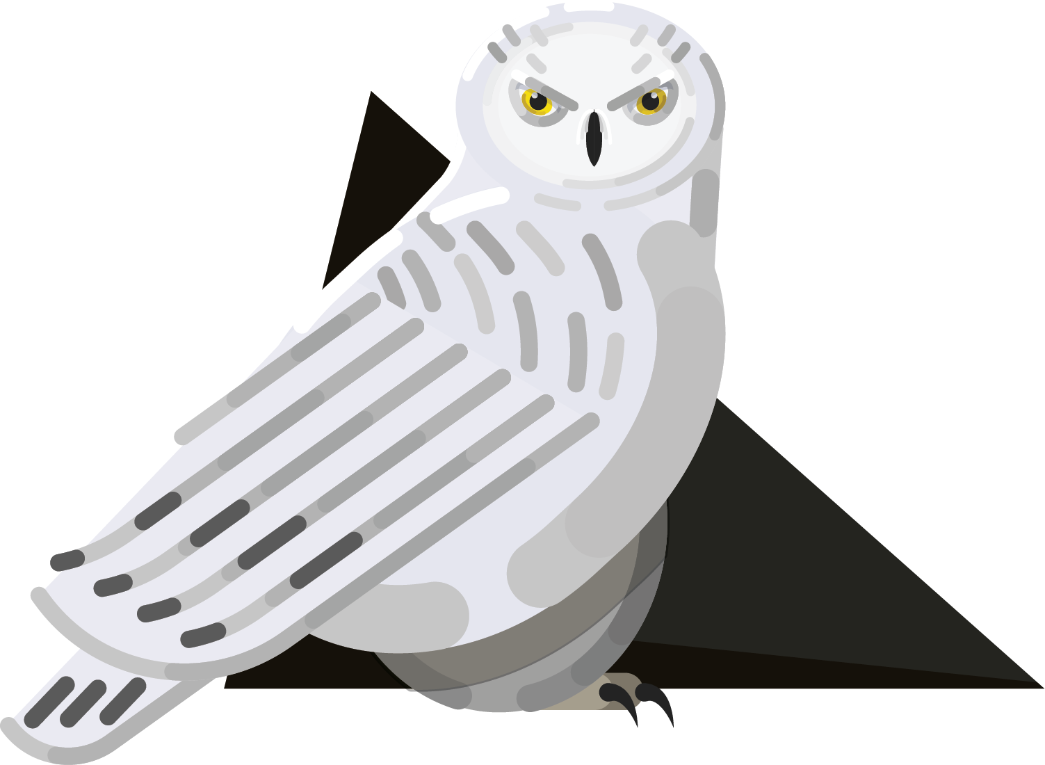 Snowy Owl, HD Png Download - Owl Transparent PNG Free Download