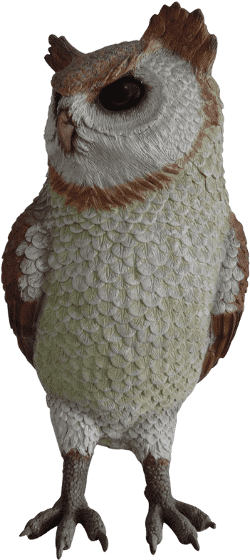 Owl, HD Png Download - Owl Transparent PNG Free Download