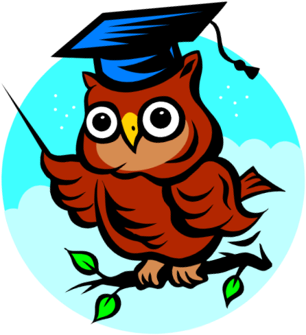 Fau Hs Rotary Scholar For January - Wise Owl, HD Png Download - Owl Transparent PNG Free Download