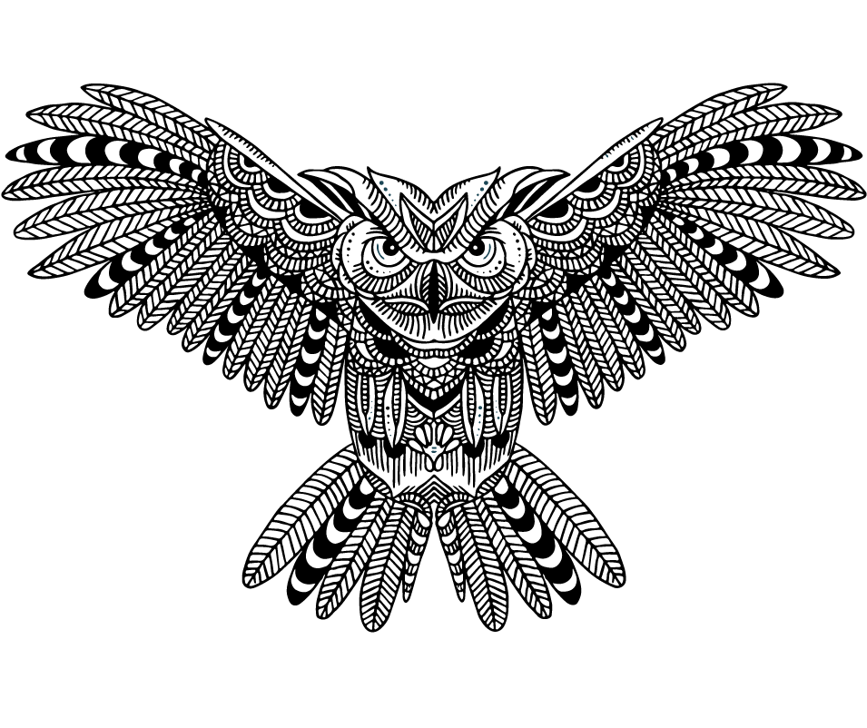 Coruja E Cervo, HD Png Download - Owl Transparent PNG Free Download