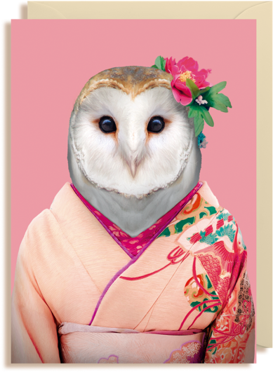 Zoo Portraits, HD Png Download - Owl Transparent PNG Free Download