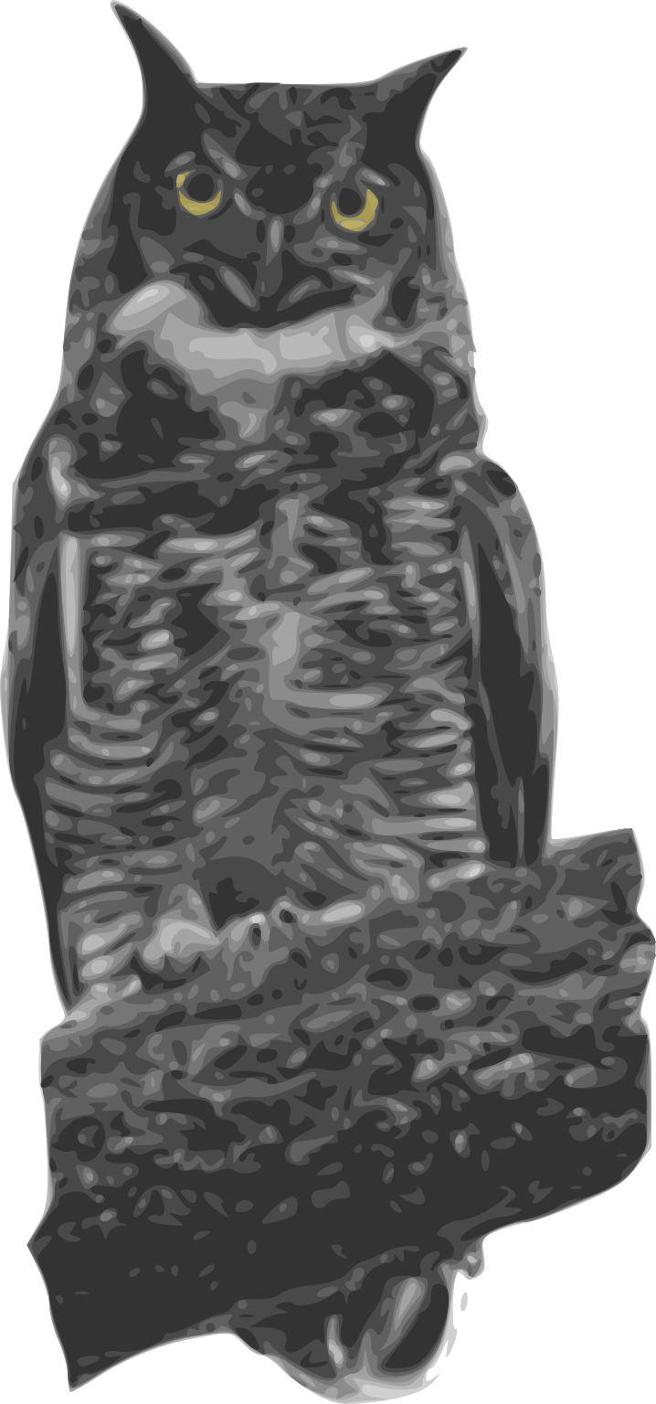 Great Horned Owl Clip Arts - Owl, HD Png Download - Owl Transparent PNG Free Download