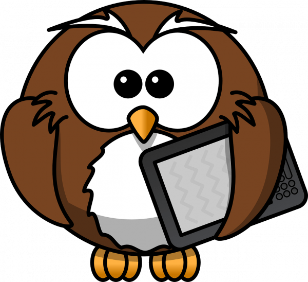 Cartoon Owl Transparent Background, HD Png Download - Owl Transparent PNG Free Download