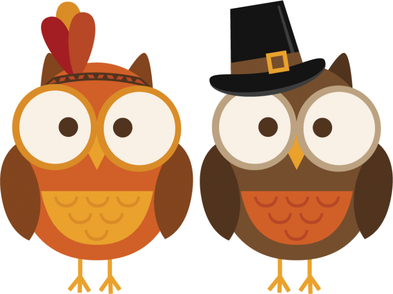 Cute Thanksgiving Clipart, HD Png Download - Owl Transparent PNG Free Download
