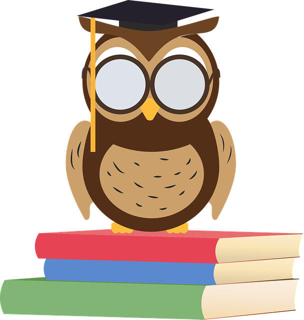 Owl, Clip Art, Books, School, Education, Wise, Cartoon - Idiom I Wasn T Born Yesterday, HD Png Download - Owl Transparent PNG Free Download