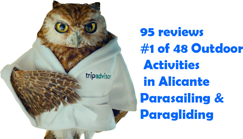 Tripadvisor-1 - Tripadvisor Owl In Bathrobe, HD Png Download - Owl Transparent PNG Free Download