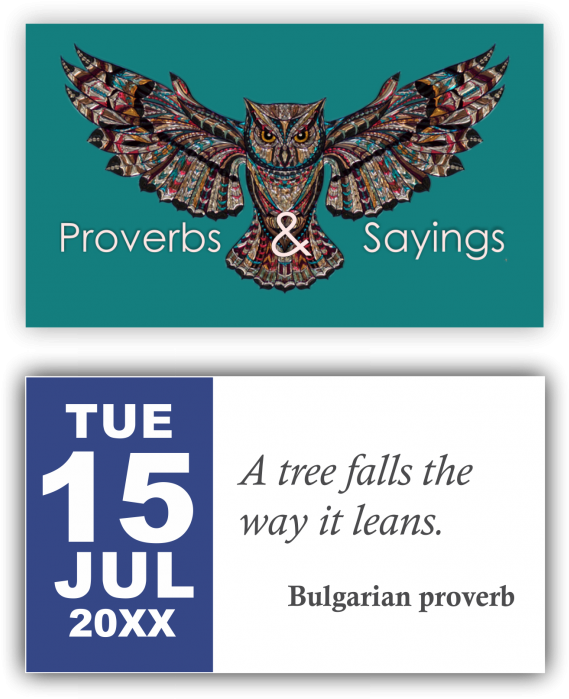 Owl, HD Png Download - Owl Transparent PNG Free Download