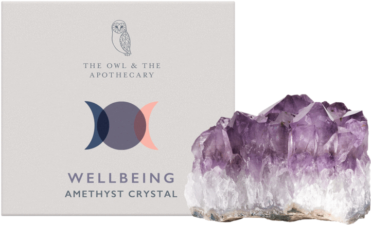 Amethyst Crystal Owl, HD Png Download - Owl Transparent PNG Free Download