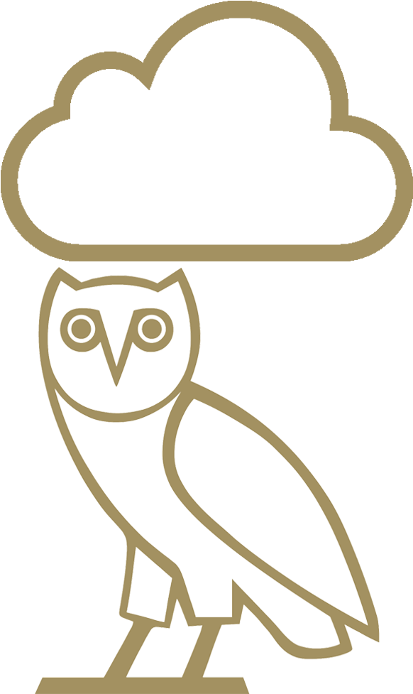 White And Gold Ovo Owl, HD Png Download - Owl Transparent PNG Free Download