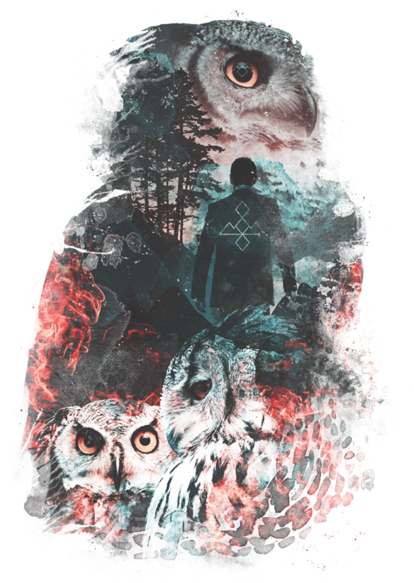 Not What They Seem Inspired By Twin Peaks Wall Tapestry - Twin Peaks Owls Tshirt, HD Png Download - Owl Transparent PNG Free Download