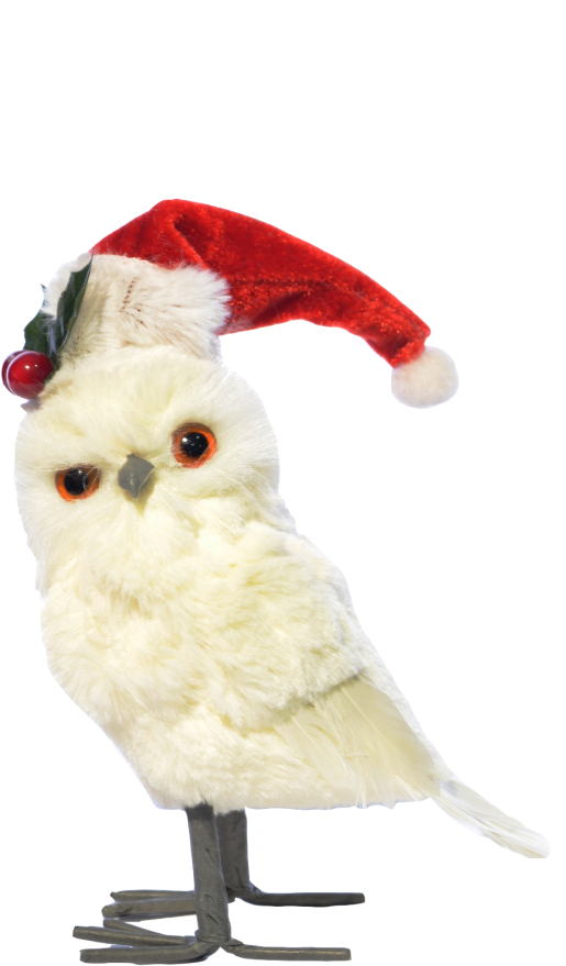 Búho De Pie Blanco Gorro De Navidad - Owl, HD Png Download - Owl Transparent PNG Free Download