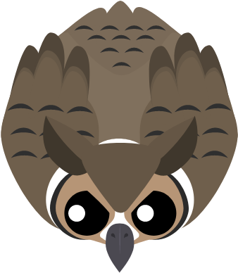 Illustration, HD Png Download - Owl Transparent PNG Free Download