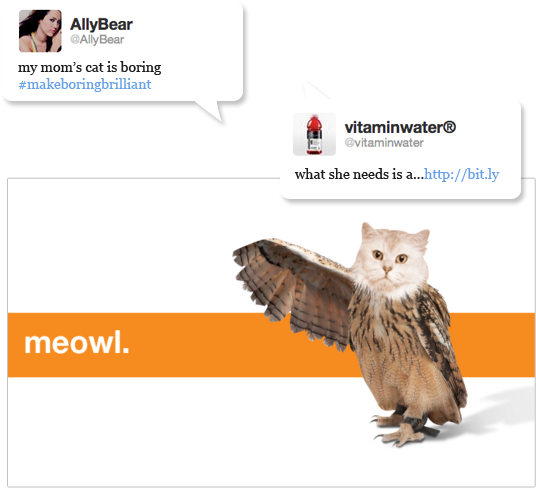 Meowl Test Png - Eastern Screech Owl, Transparent - Owl Transparent PNG Free Download