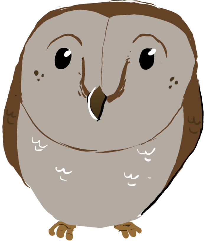 Cartoon, HD Png Download - Owl Transparent PNG Free Download