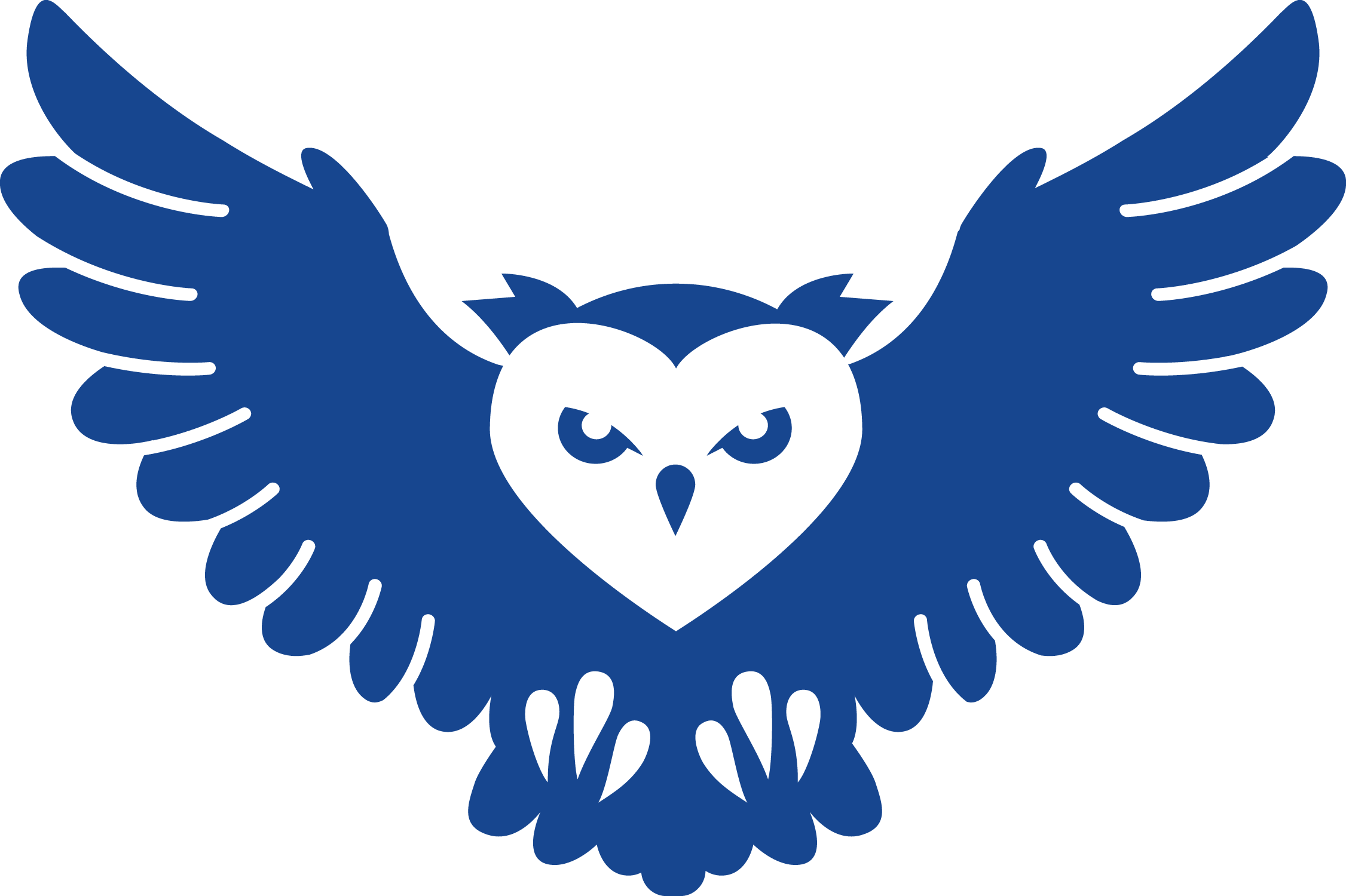Transparent Owls Png - Redson Armband Set Safe, Png Download - Owl Transparent PNG Free Download