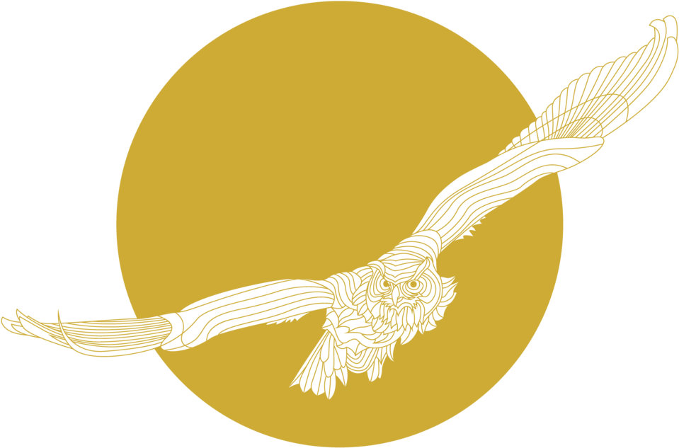 Illustration, HD Png Download - Owl Transparent PNG Free Download