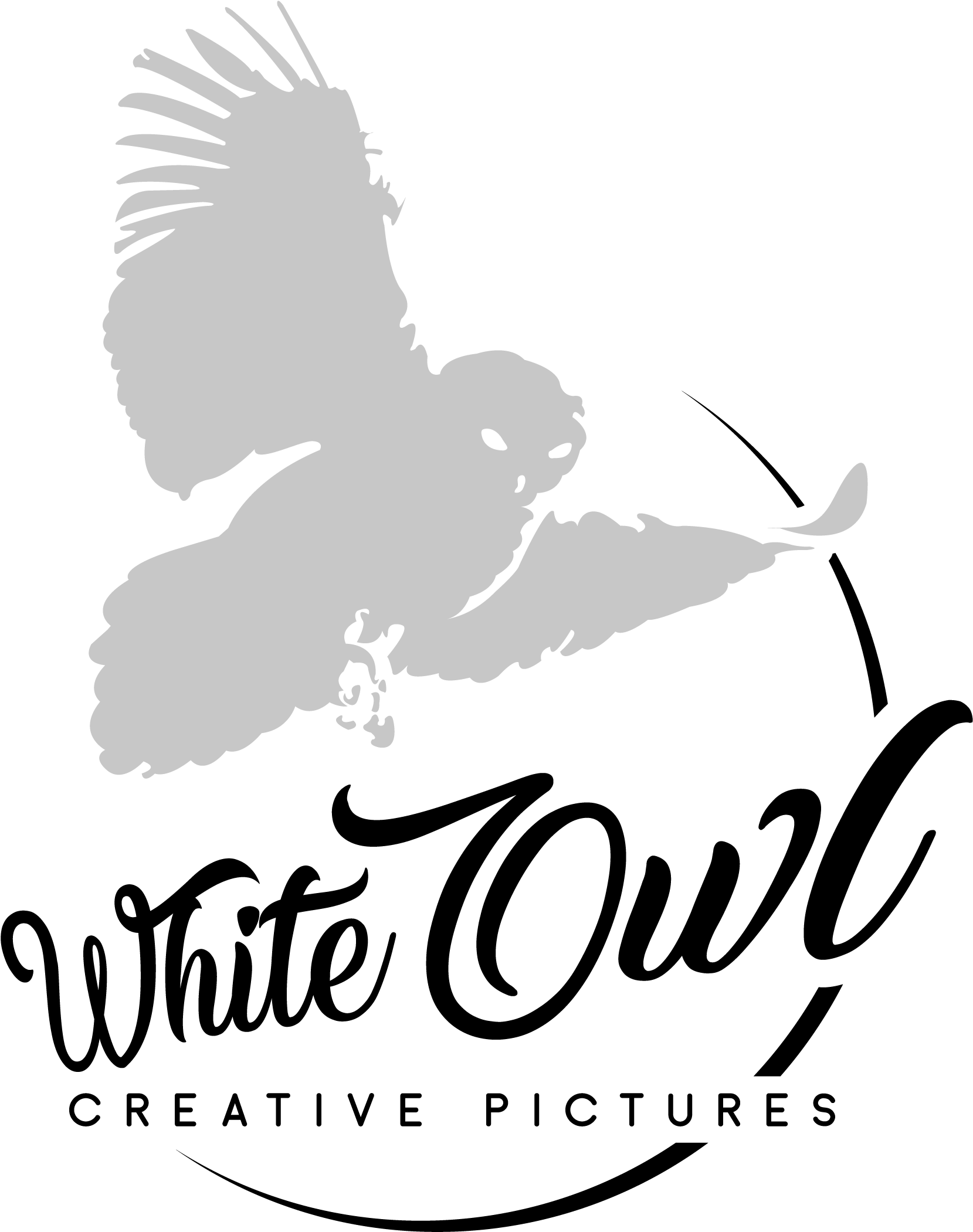 Graphic Design, HD Png Download - Owl Transparent PNG Free Download