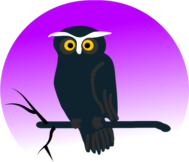 Cute Halloween Owl Clipart, HD Png Download - Owl Transparent PNG Free Download