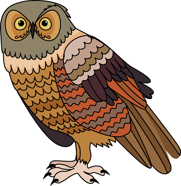 Owl, HD Png Download - Owl Transparent PNG Free Download