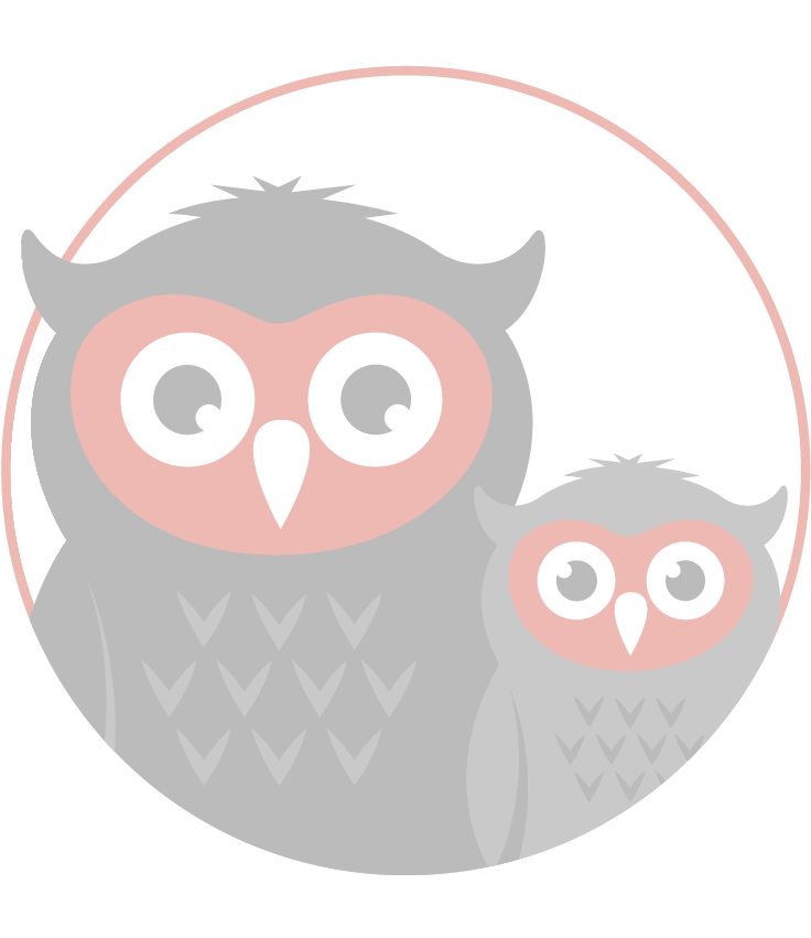 Eastern Screech Owl, HD Png Download - Owl Transparent PNG Free Download