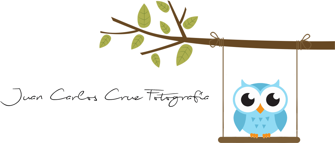 Juan Carlos Cruz Fotografía - Buho Png Niño, Transparent - Owl Transparent PNG Free Download