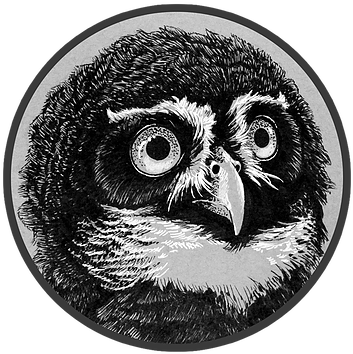 Great Grey Owl, HD Png Download - Owl Transparent PNG Free Download