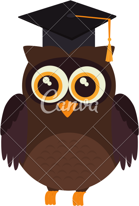 Transparent Graduation Owl Clipart - Owl Graduation, HD Png Download - Owl Transparent PNG Free Download