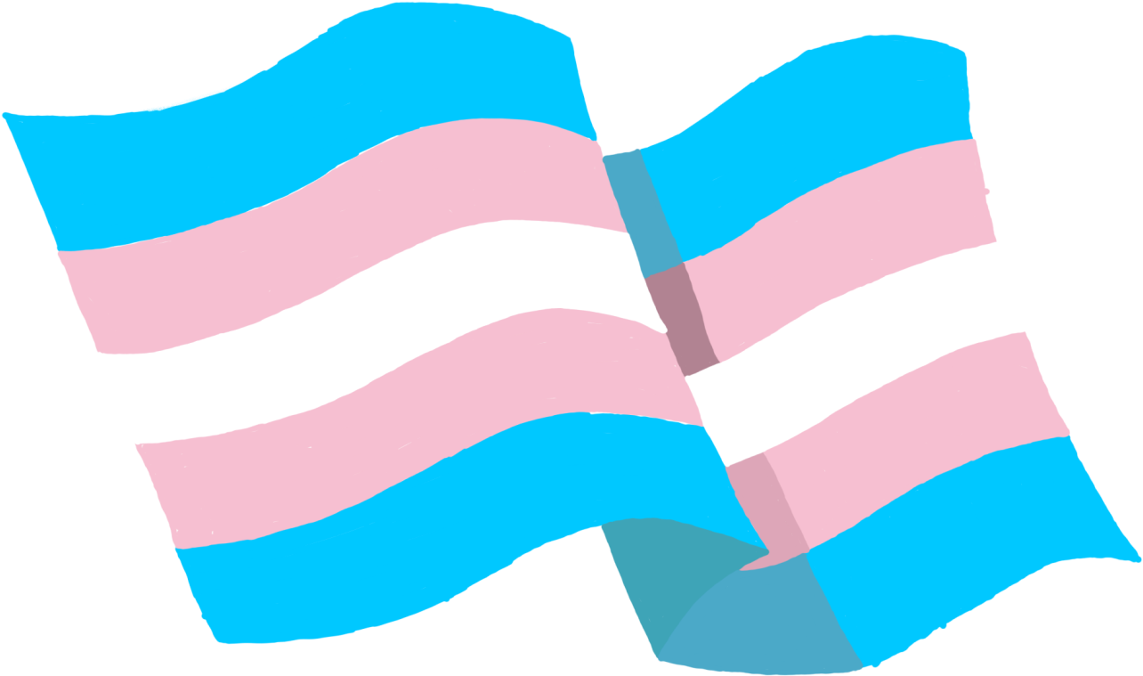 Trans Flag " Class="img Responsive Owl First Image - Graphic Design, HD Png Download - Owl Transparent PNG Free Download