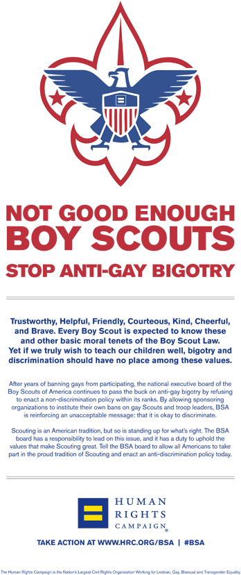 Hrc Says Boy Scouts’ Proposal Not Good Enough" Class="img - Boy Scouts Of America Narragansett Council, HD Png Download - Owl Transparent PNG Free Download